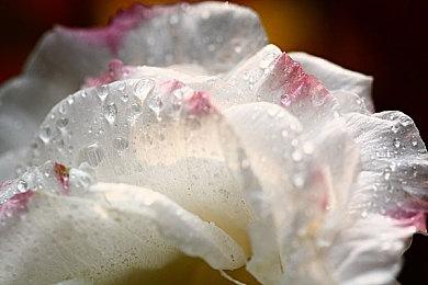 《战神：诸神黄昏》有两种画质选项 新视觉图公布